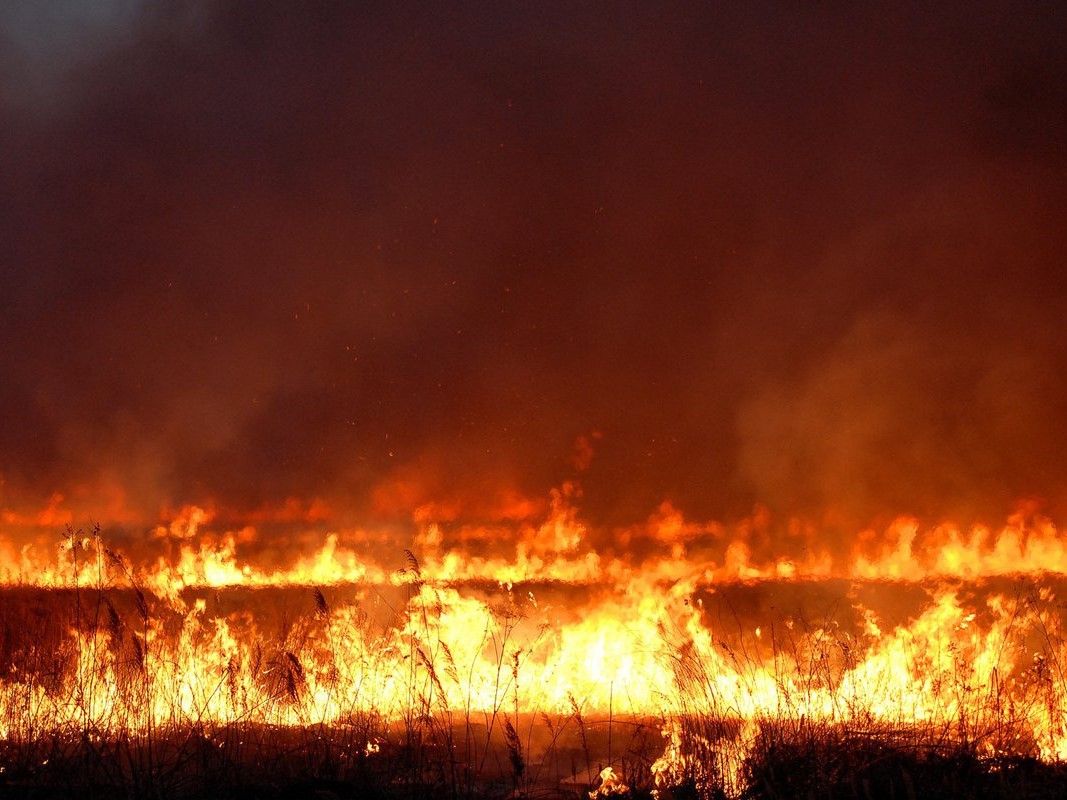 Псковичам напоминают о мерах безопасности в весенне-летний пожароопасный период.