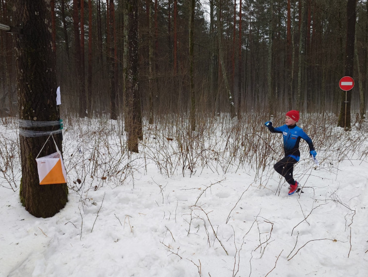 ���� ������� ��������� ������������ ��������� �� ������������� �� ��������������.